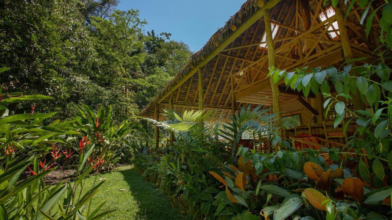 Esquinas Rainforest Lodge Golfito Exterior photo
